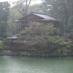 雨の拾翠亭（京都御苑）
