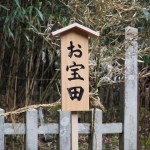 篠田神社　筍祭