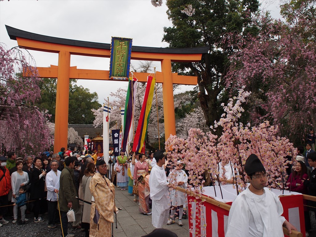 平野神社 満開の桜と桜花祭 京都旅屋 気象予報士の観光ガイド 京都散策