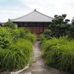 常林寺の萩