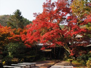 神蔵寺