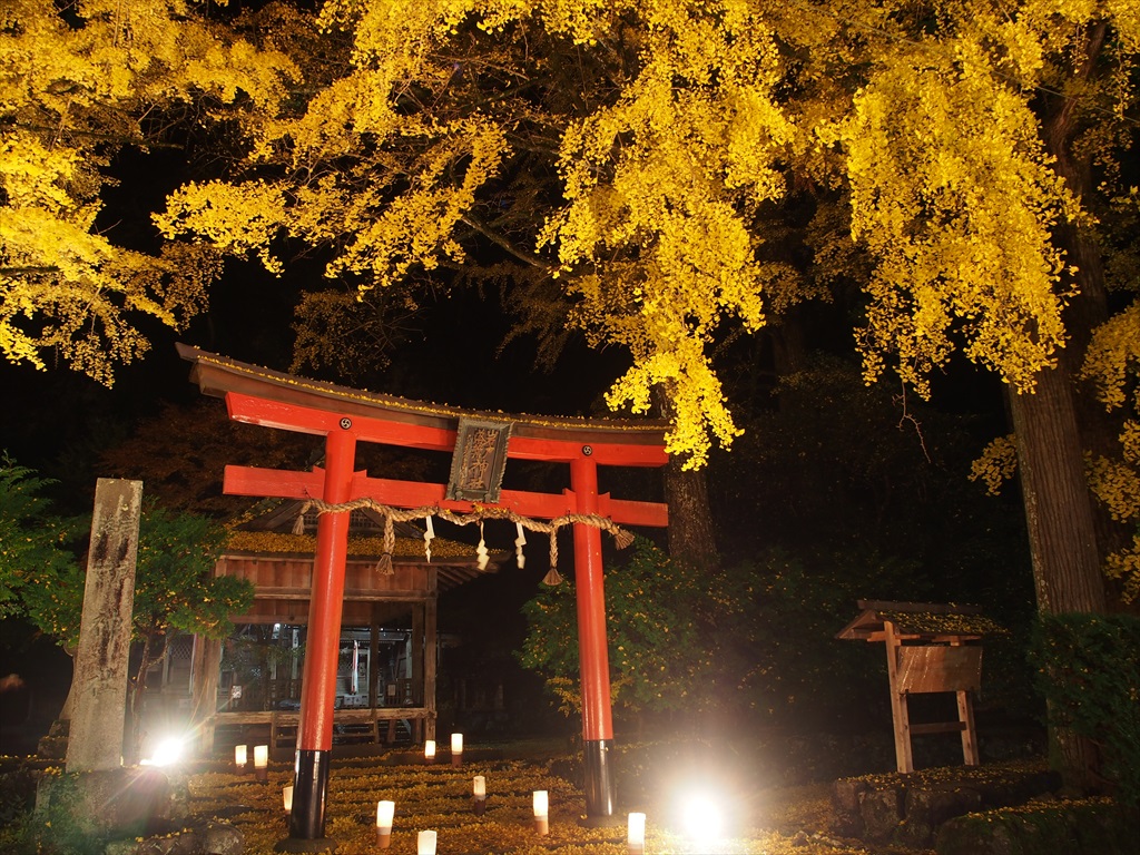 岩戸落葉神社のライトアップ 16年 京都旅屋 気象予報士の観光ガイド 京都散策