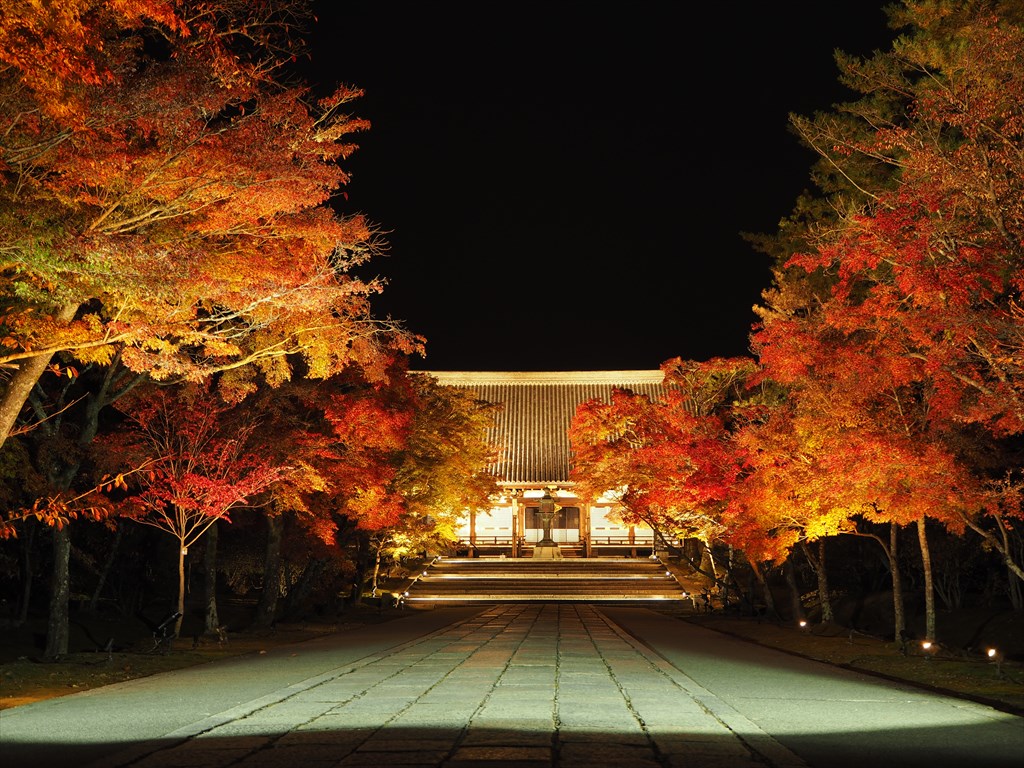 仁和寺の紅葉とライトアップ - 京都旅屋